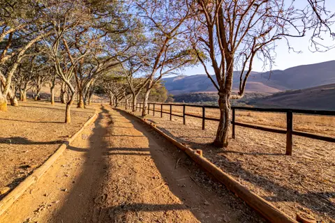 Rosesands Mountain Lodge