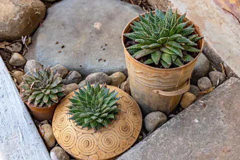 Rosesands Mountain Lodge