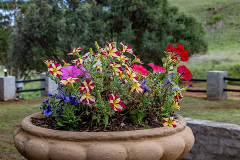 Events Venue | Rosesands Mountain Lodge