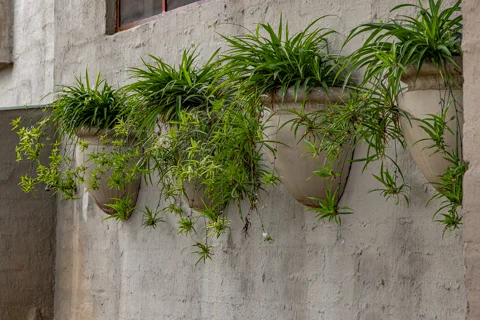 Events Venue | Rosesands Mountain Lodge