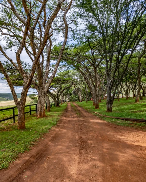 Rosesands Mountain Lodge