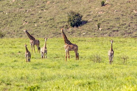 ​Lodge Experiences​ | Rosesands Mountain Lodge