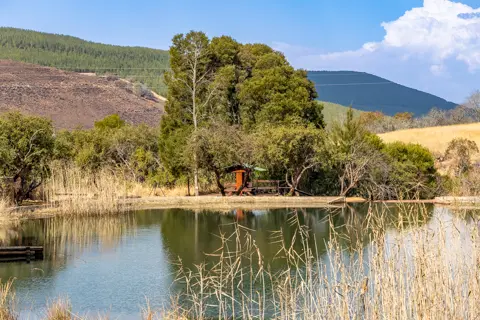 ​Lodge Experiences​ | Rosesands Mountain Lodge