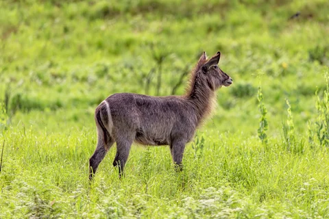 ​Lodge Experiences​ | Rosesands Mountain Lodge