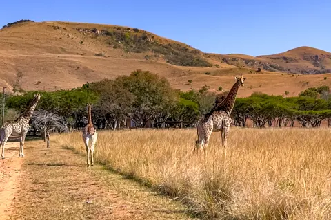 ​Lodge Experiences​ | Rosesands Mountain Lodge