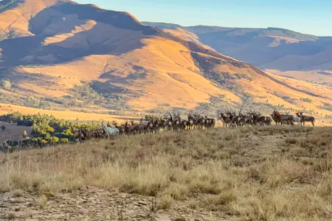 ​Lodge Experiences​ | Rosesands Mountain Lodge