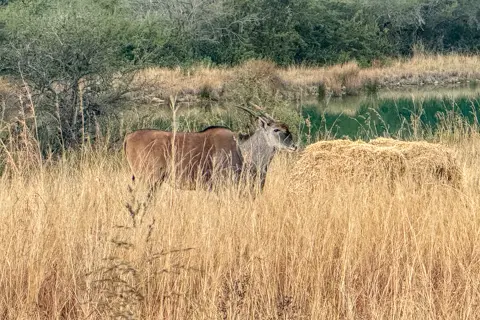 ​Lodge Experiences​ | Rosesands Mountain Lodge