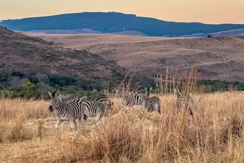 ​Lodge Experiences​ | Rosesands Mountain Lodge