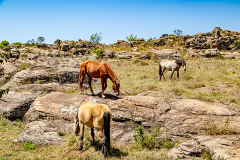 © The Guys - Professional Photographers & Designers - www.theguys.co.za