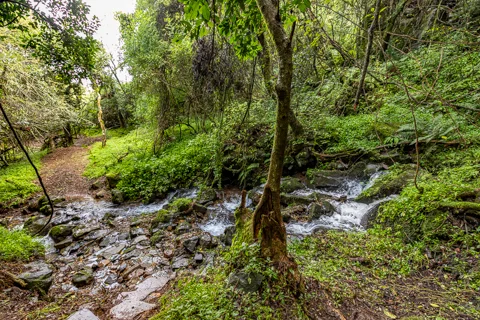 Comatie Waterfall Camp | Rosesands Mountain Lodge