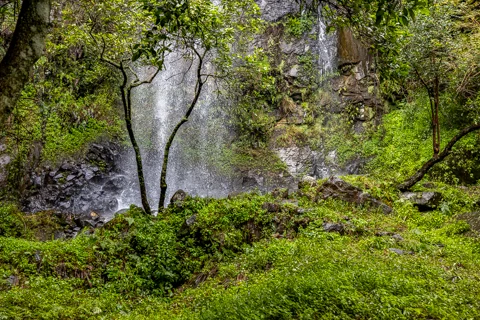 Comatie Waterfall Camp | Rosesands Mountain Lodge
